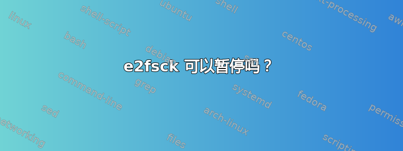 e2fsck 可以暂停吗？