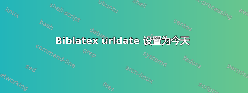 Biblatex urldate 设置为今天