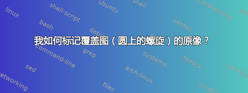 我如何标记覆盖图（圆上的螺旋）的原像？