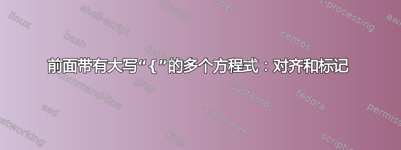 前面带有大写“{”的多个方程式：对齐和标记