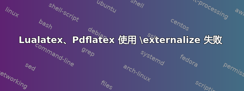 Lualatex、Pdflatex 使用 \externalize 失败