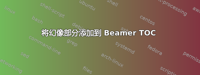 将幻像部分添加到 Beamer TOC