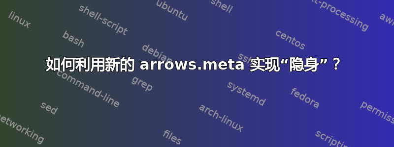 如何利用新的 arrows.meta 实现“隐身”？