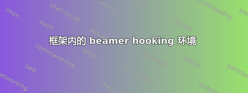 框架内的 beamer hooking 环境