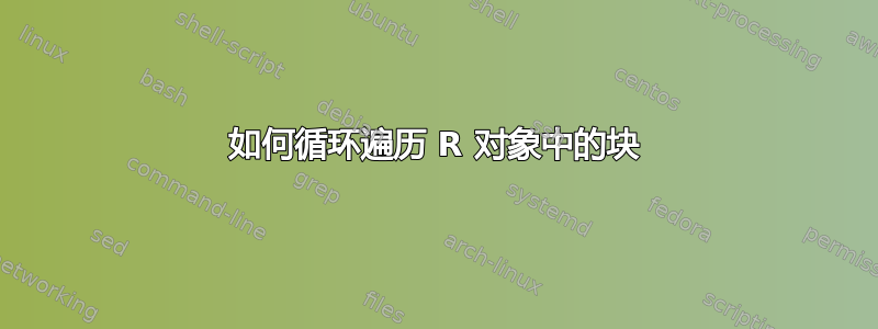 如何循环遍历 R 对象中的块