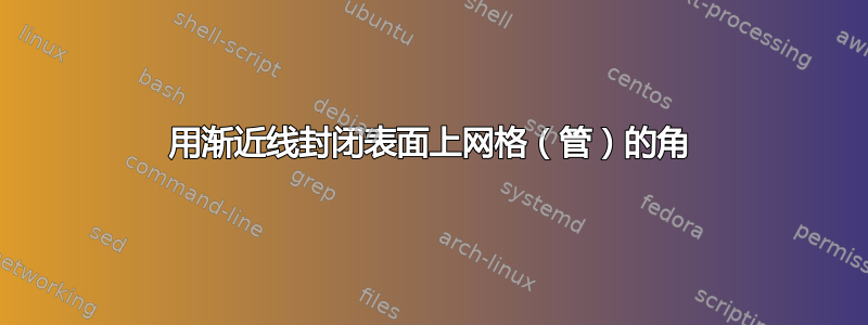 用渐近线封闭表面上网格（管）的角