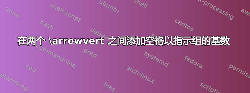 在两个 \arrowvert 之间添加空格以指示组的基数