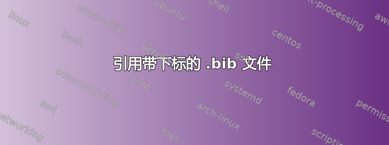 引用带下标的 .bib 文件