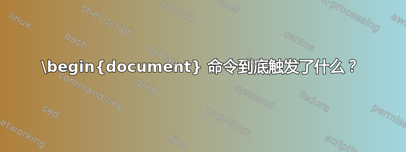 \begin{document} 命令到底触发了什么？