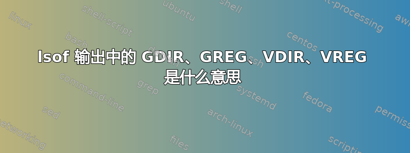 lsof 输出中的 GDIR、GREG、VDIR、VREG 是什么意思