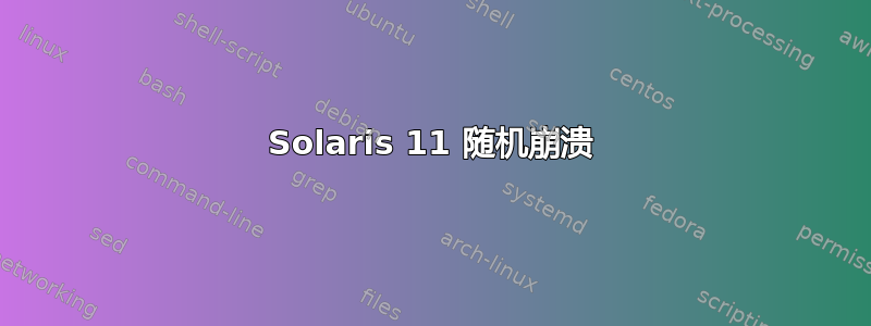 Solaris 11 随机崩溃