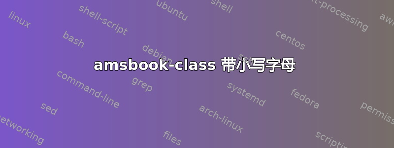 amsbook-class 带小写字母