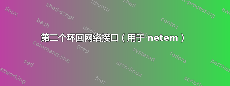 第二个环回网络接口（用于 netem）