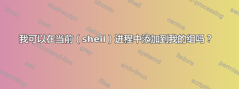 我可以在当前（shell）进程中添加到我的组吗？ 