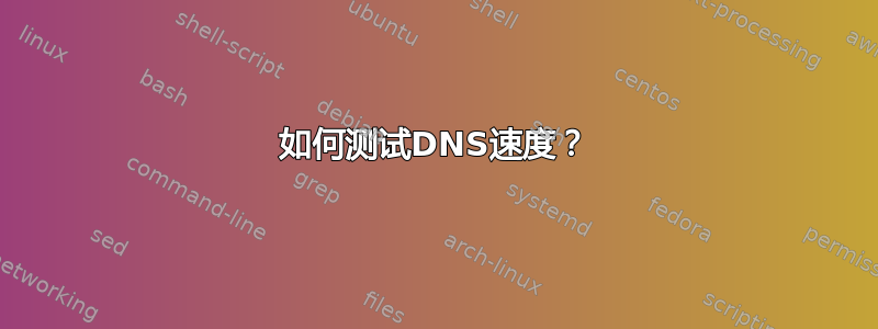 如何测试DNS速度？