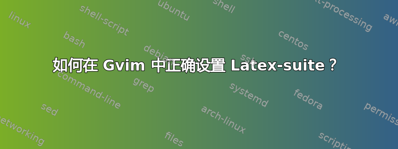 如何在 Gvim 中正确设置 Latex-suite？