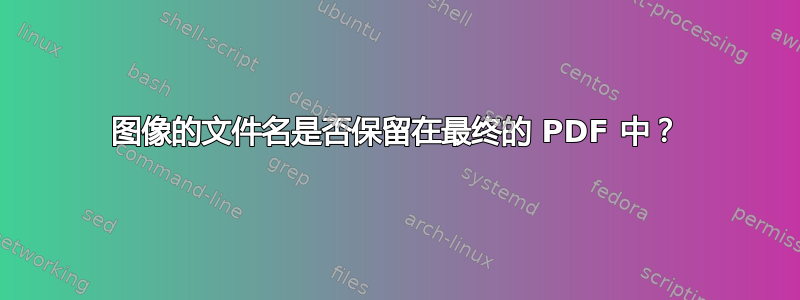 图像的文件名是否保留在最终的 PDF 中？