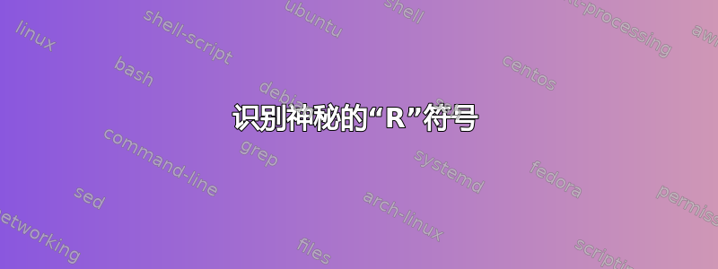 识别神秘的“R”符号