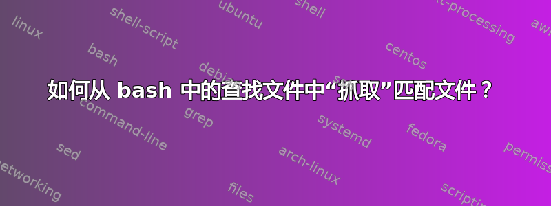 如何从 bash 中的查找文件中“抓取”匹配文件？