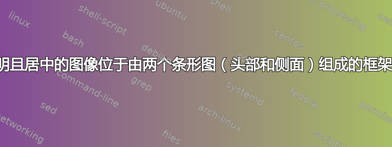 透明且居中的图像位于由两个条形图（头部和侧面）组成的框架内