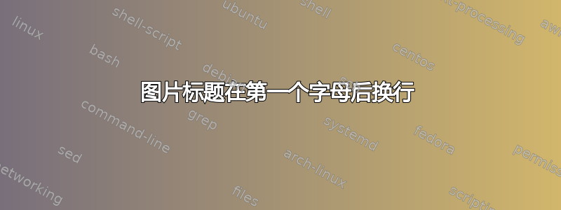 图片标题在第一个字母后换行