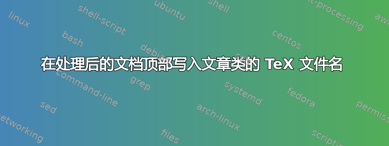 在处理后的文档顶部写入文章类的 TeX 文件名