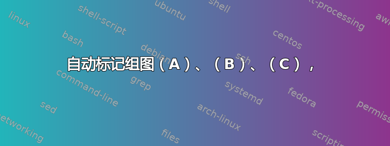 自动标记组图（A）、（B）、（C），