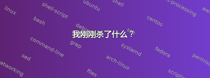 我刚刚杀了什么？