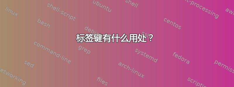 标签键有什么用处？