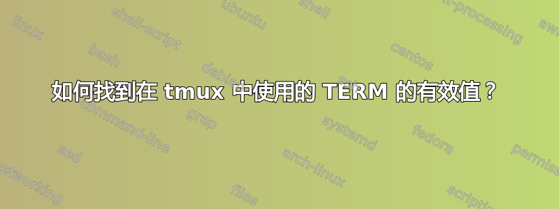 如何找到在 tmux 中使用的 TERM 的有效值？