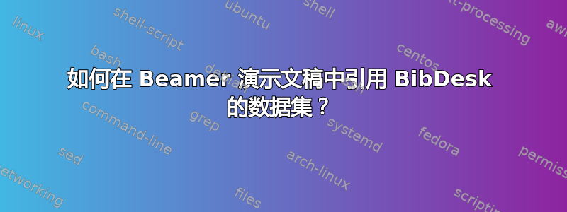 如何在 Beamer 演示文稿中引用 BibDesk 的数据集？