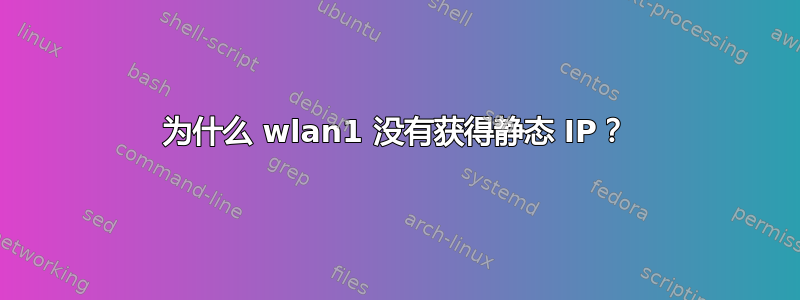 为什么 wlan1 没有获得静态 IP？