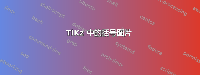 TiKz 中的括号图片