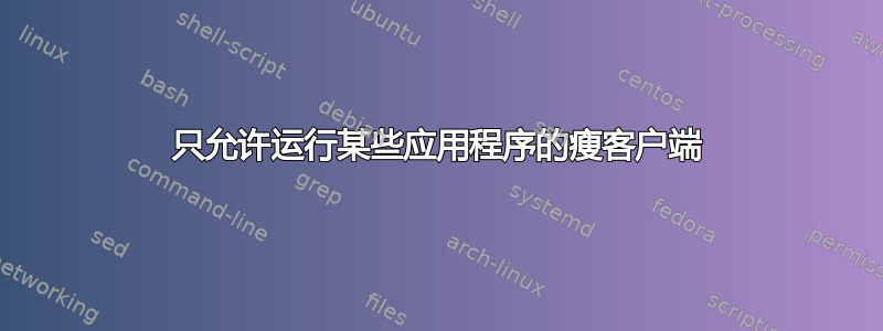 只允许运行某些应用程序的瘦客户端