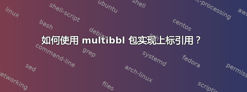 如何使用 multibbl 包实现上标引用？