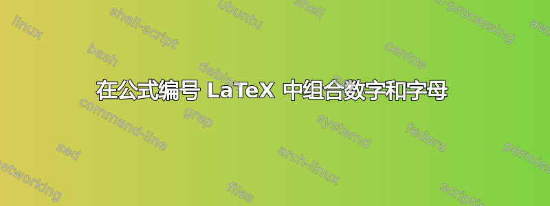 在公式编号 LaTeX 中组合数字和字母