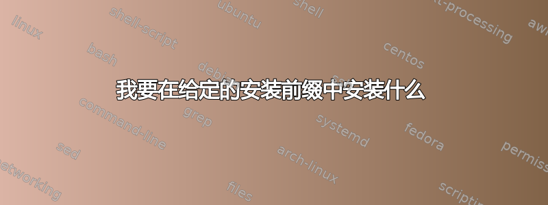 我要在给定的安装前缀中安装什么