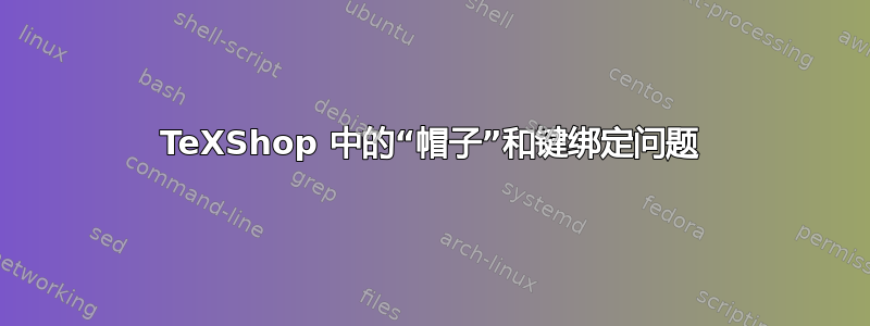 TeXShop 中的“帽子”和键绑定问题