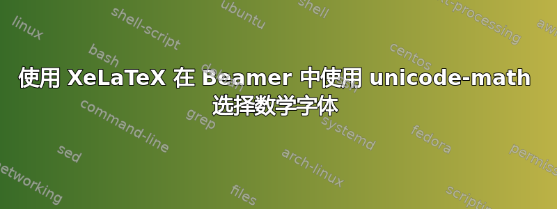 使用 XeLaTeX 在 Beamer 中使用 unicode-math 选择数学字体