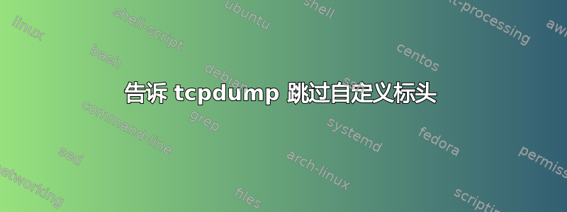 告诉 tcpdump 跳过自定义标头