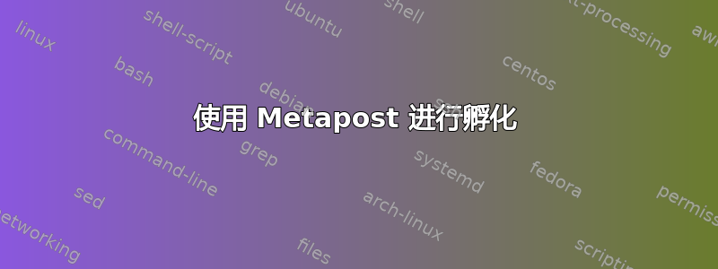 使用 Metapost 进行孵化