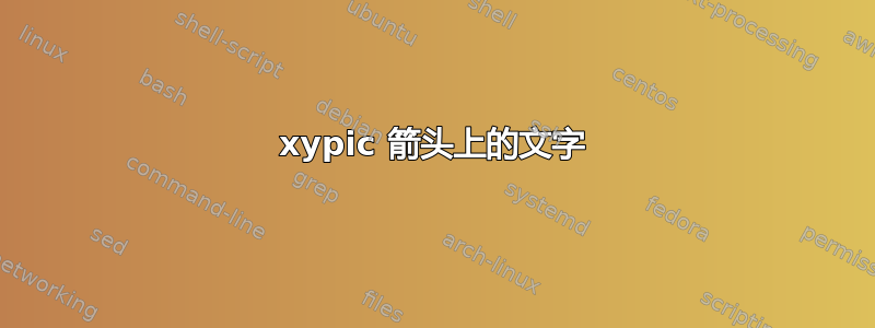 xypic 箭头上的文字