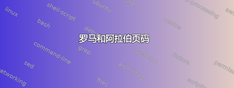 罗马和阿拉伯页码 