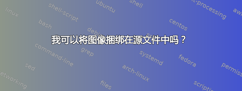 我可以将图像捆绑在源文件中吗？