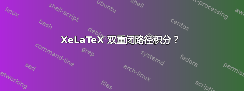 XeLaTeX 双重闭路径积分？