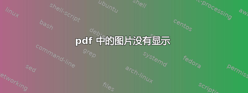 pdf 中的图片没有显示