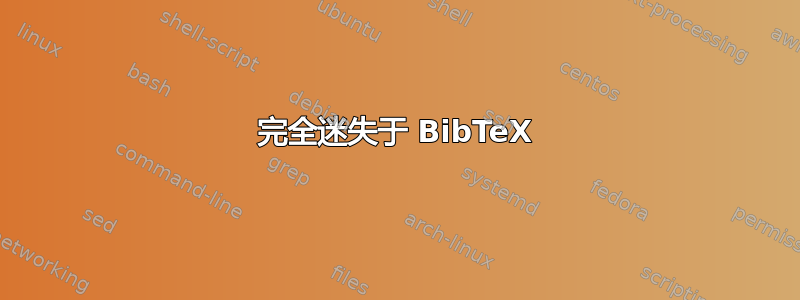 完全迷失于 BibTeX