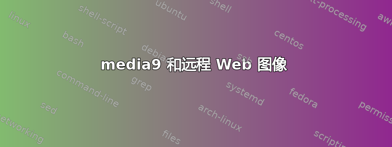 media9 和远程 Web 图像