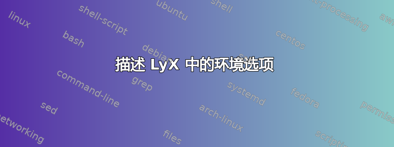 描述 LyX 中的环境选项