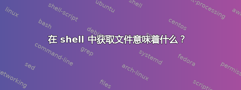 在 shell 中获取文件意味着什么？ 